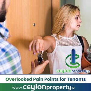 Overlooked Pain Points for Tenants