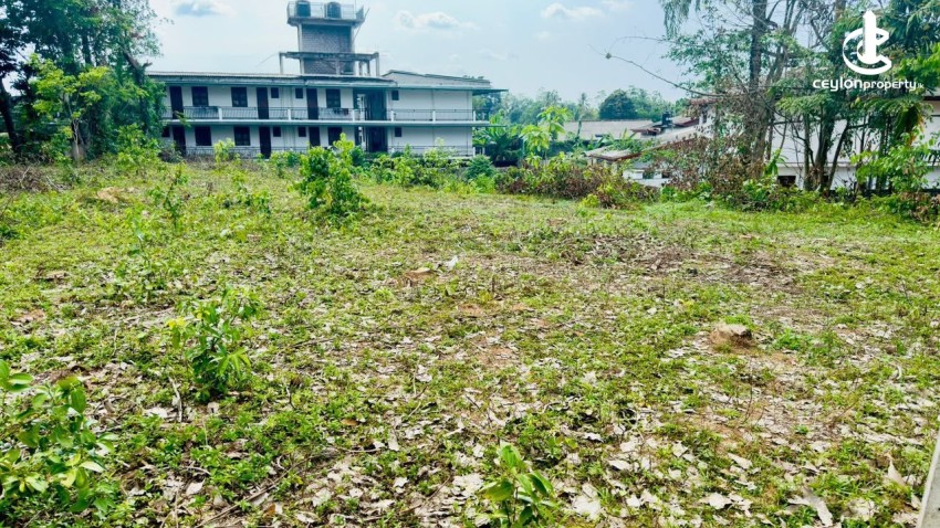 Land for Sale in Homagama - Commercial / Residential Land for Sale – Homagama - photo 2