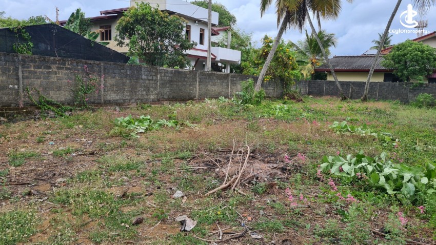 Land for Sale in Panadura - Land for Sale near Panadura Galle Road - photo 1