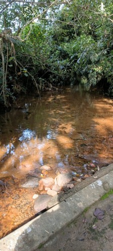 Land for Sale in Ratnapura - 14-acre plot of land is situated along the Sinharaja–Ratnapura Road - photo 3