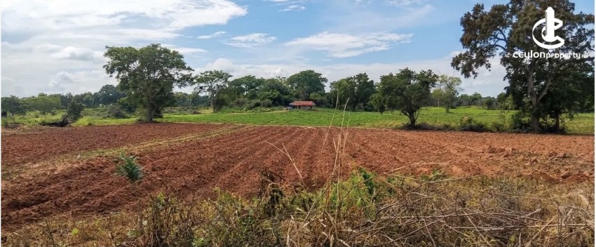 Land for Sale in Monaragala - Land for sale in monaragala - photo 1