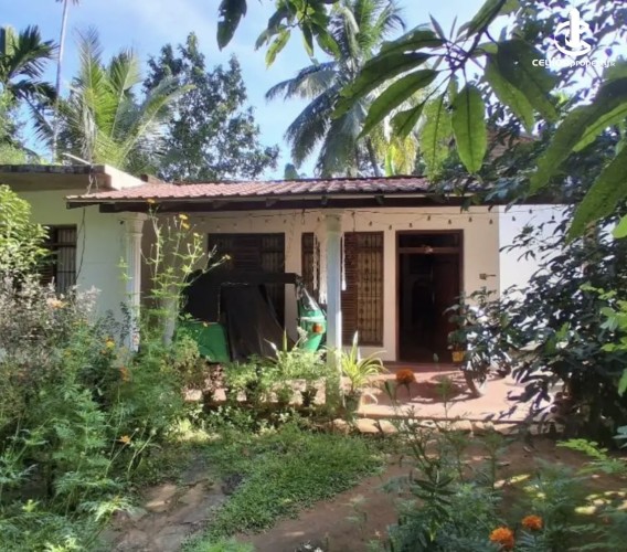 Land for Sale in Matale - Land for sale in matale - photo 1
