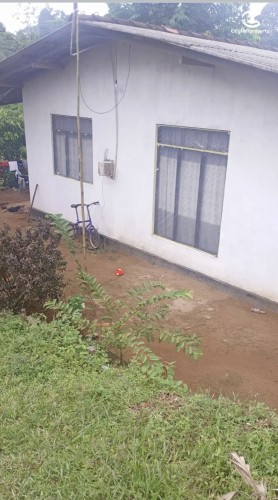Land for Sale in Gampaha - Land for sale in gampaha - photo 3