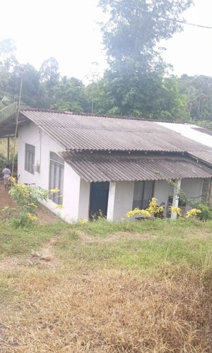 Land for Sale in Gampaha - Land for sale in gampaha - photo 4