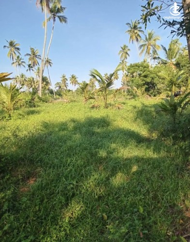 Land for Sale in Katupota - Land for sale in katupotha - photo 3