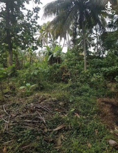 Land for Sale in Tangalla - Land for sale in thangalla - photo 2