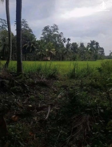 Land for Sale in Tangalla - Land for sale in thangalla - photo 4