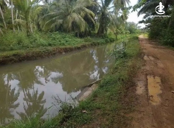 Land for Sale in Tangalla - Land for sale in thangalla - photo 5
