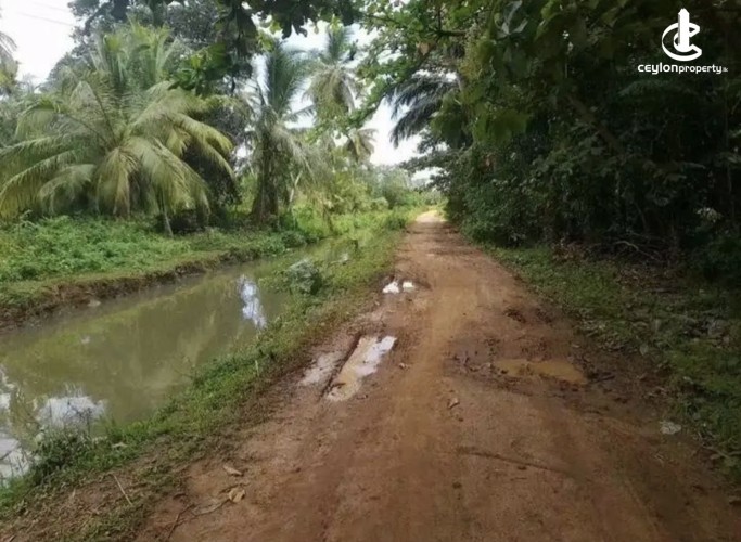 Land for Sale in Tangalla - Land for sale in thangalla - photo 6