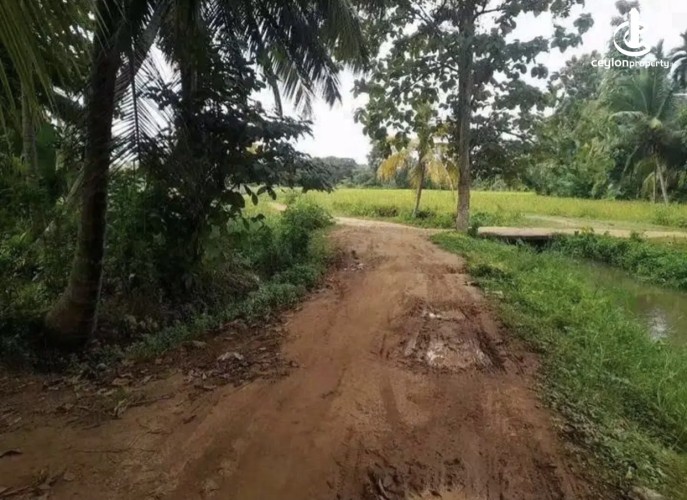 Land for Sale in Tangalla - Land for sale in thangalla - photo 7