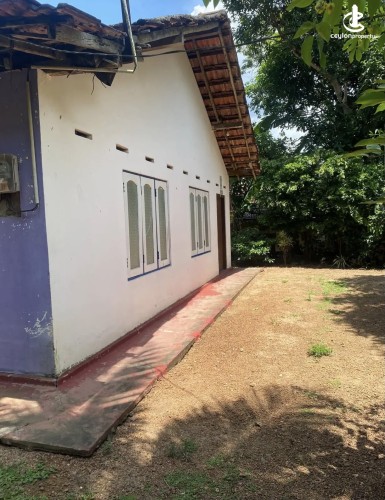 Land for Sale in Gampaha - Land for sale in gampaha - photo 8