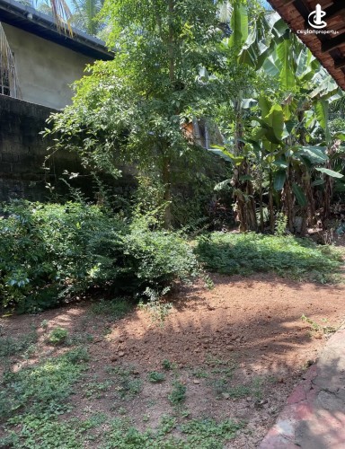 Land for Sale in Gampaha - Land for sale in gampaha - photo 9