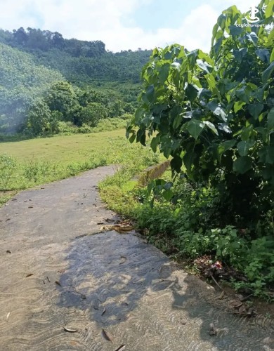Land for Sale in Avissawella - Land for sale in awissawella - photo 2