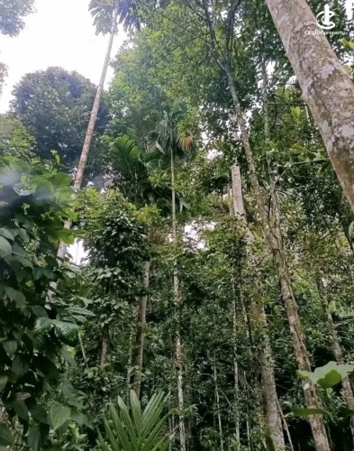 Land for Sale in Avissawella - Land for sale in awissawella - photo 4