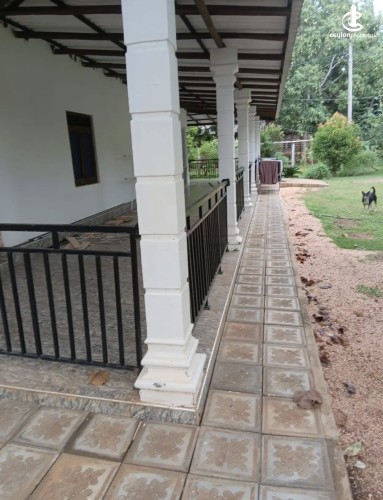 Land for Sale in Dambulla - Land for sale in Dambulla - photo 4