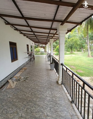 Land for Sale in Dambulla - Land for sale in Dambulla - photo 8