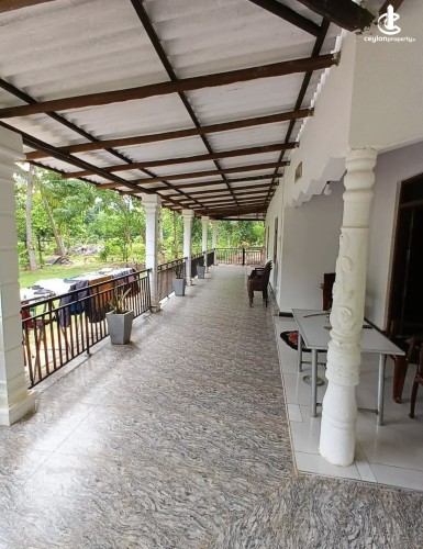 Land for Sale in Dambulla - Land for sale in Dambulla - photo 9