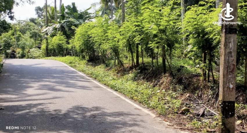 Land for Sale in Kosgama - Land for sale in kosgama - photo 1