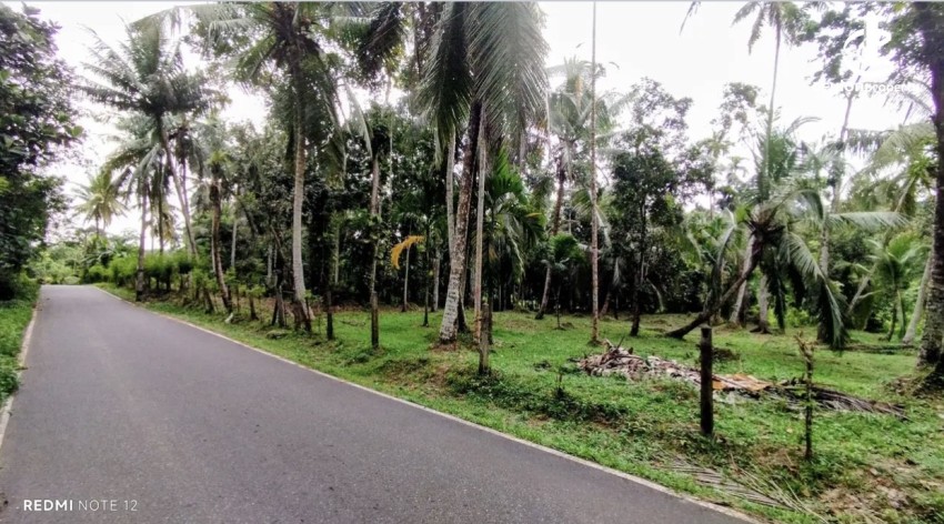 Land for Sale in Kosgama - Land for sale in kosgama - photo 4