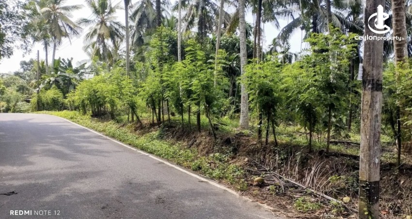 Land for Sale in Kosgama - Land for sale in kosgama - photo 5
