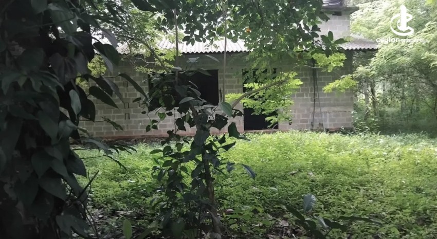 Land for Sale in Minuwangoda - Land for sale in minuwangoda - photo 2