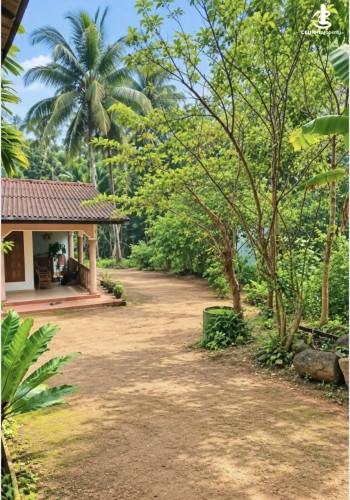 Land for Sale in Matale - Land for sale in matale - photo 2