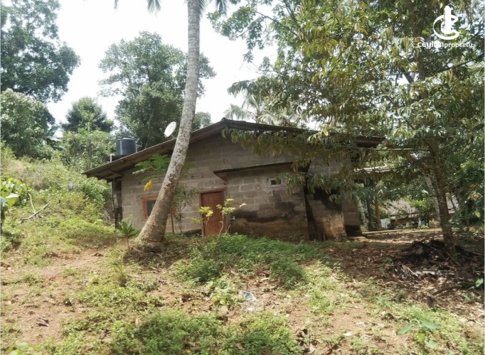 Land for Sale in Bulathsinhala - Land for sale in bulathsinhala - photo 2