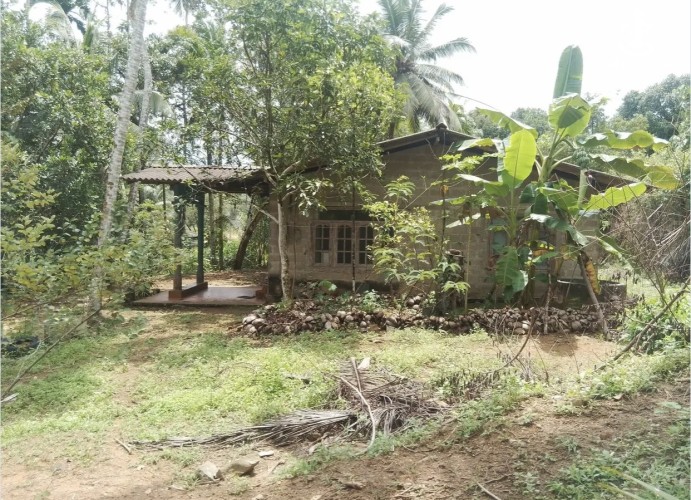 Land for Sale in Bulathsinhala - Land for sale in bulathsinhala - photo 3
