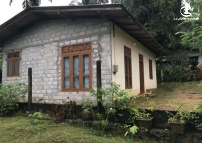 Land for Sale in Homagama - Land for sale in homagama - photo 1
