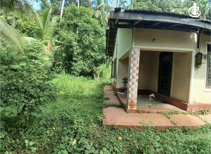 Land for Sale in Polgahawela - Land for sale in polgahawela - photo 2