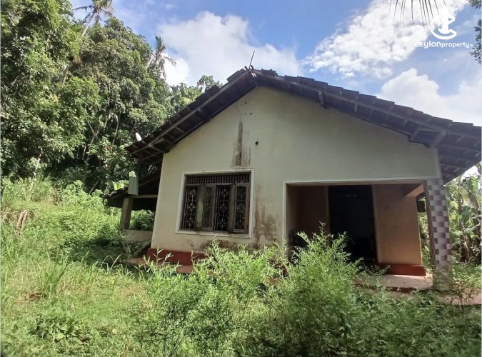 Land for Sale in Polgahawela - Land for sale in polgahawela - photo 3