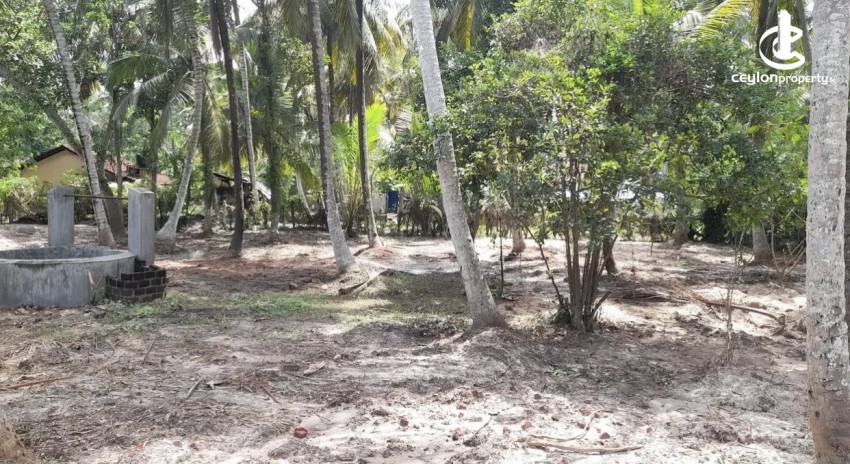 Land for Sale in Chilaw - Land for sale in bowatta - photo 4