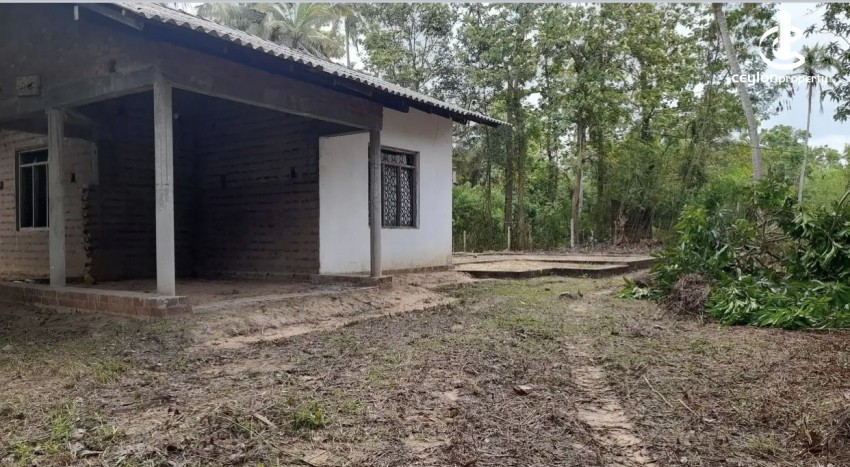 Land for Sale in Chilaw - Land for sale in bowatta - photo 6
