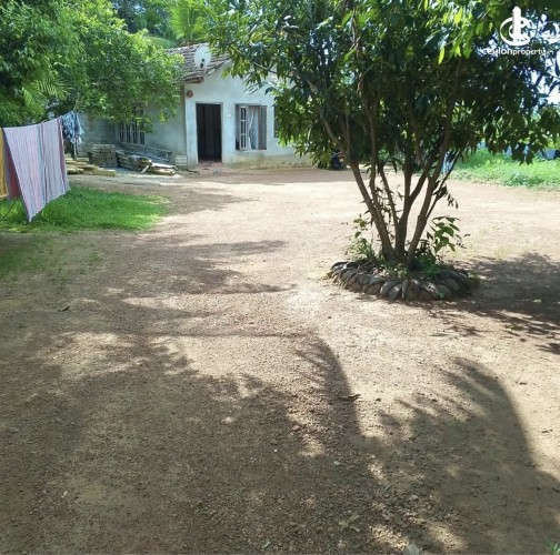 Land for Sale in Aluthgama - Land for sale in Aluthgama - photo 3
