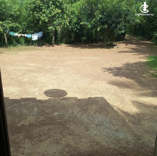 Land for Sale in Aluthgama - Land for sale in Aluthgama - photo 4