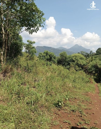 Land for Sale in Matale - Land for sale in matale - photo 2