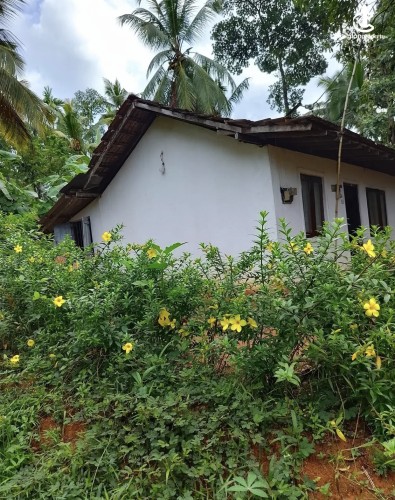 Land for Sale in Gampaha - Land for sale in mallehewa - photo 1