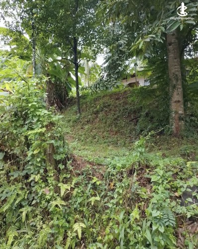Land for Sale in Gampaha - Land for sale in mallehewa - photo 5