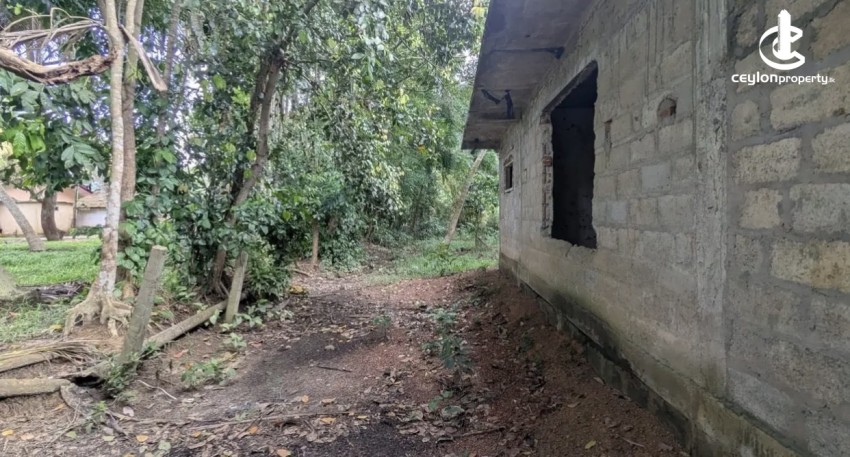 Land for Sale in Gampaha - Land for sale in gampaha - photo 1