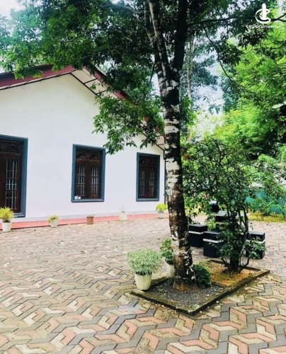 Land for Sale in Polgahawela - Land for sale in polgahawela - photo 3