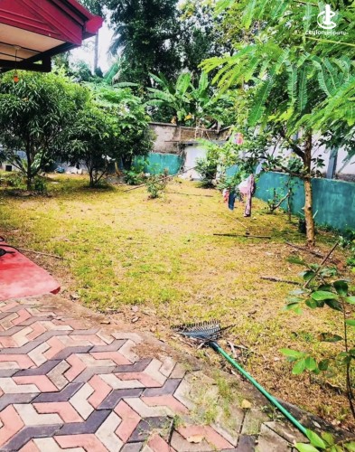 Land for Sale in Polgahawela - Land for sale in polgahawela - photo 4