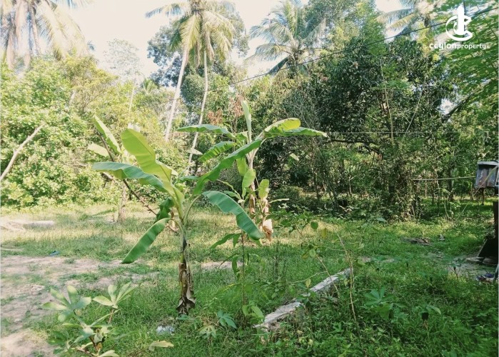 Land for Sale in Katunayake - Land for sale in katunayaka - photo 3