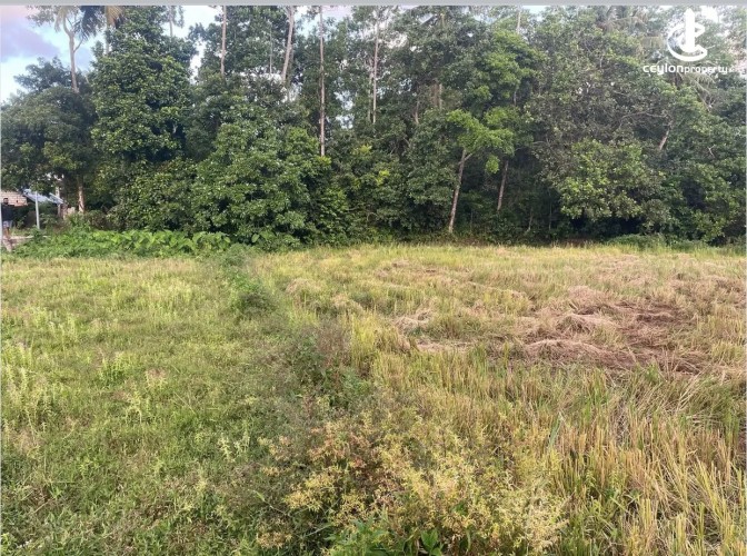 Land for Sale in Ahangama - Land for sale in ahangama - photo 1