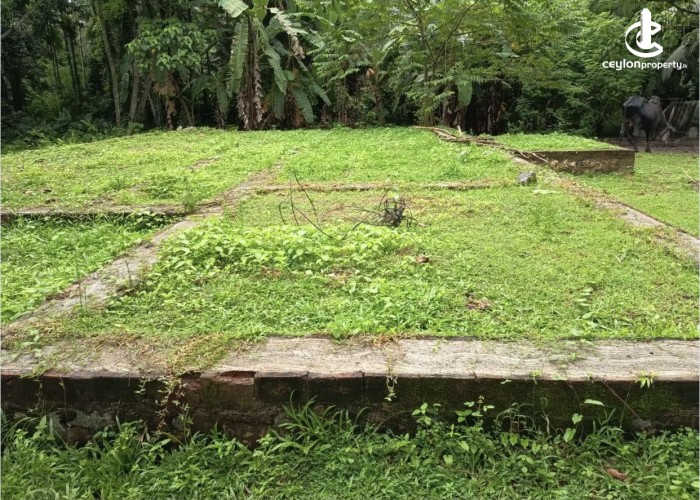 Land for Sale in Katunayake - Land for sale in karumayaka - photo 1