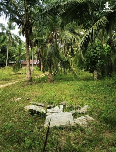 Land for Sale in Katunayake - Land for sale in karumayaka - photo 3