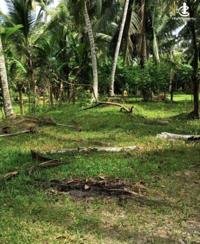 Land for Sale in Katunayake - Land for sale in karumayaka - photo 5