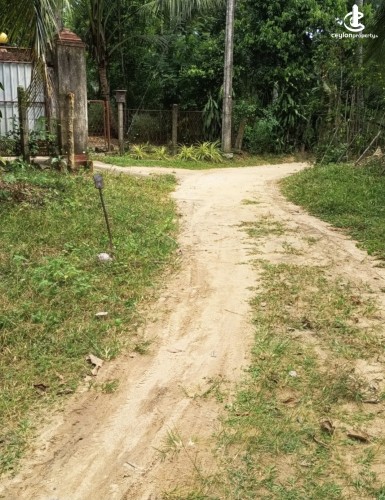 Land for Sale in Katunayake - Land for sale in karumayaka - photo 7