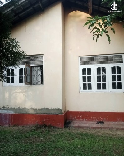 Land for Sale in Panadura - Land for sale in panadura - photo 5