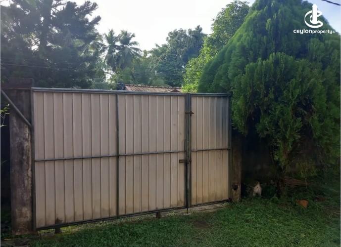 Land for Sale in Panadura - Land for sale in panadura - photo 6