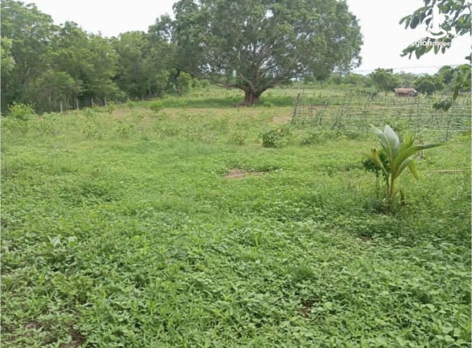 Land for Sale in Thanamalwila - Land for sale in thanamalwila - photo 2